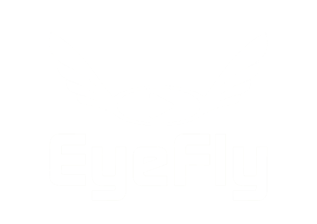 EyeFly Logo